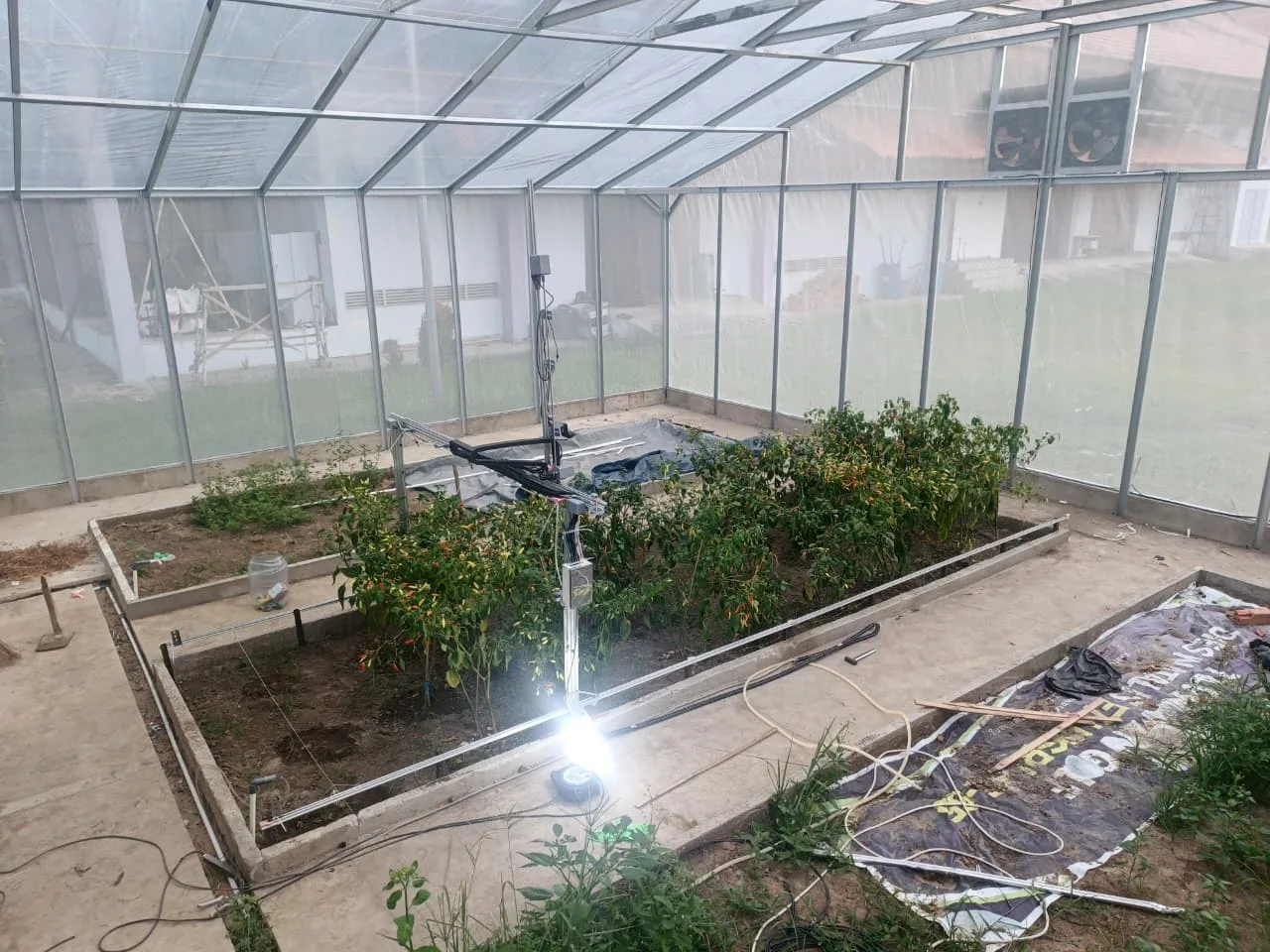 The gantry running in the greenhouse with its work light on