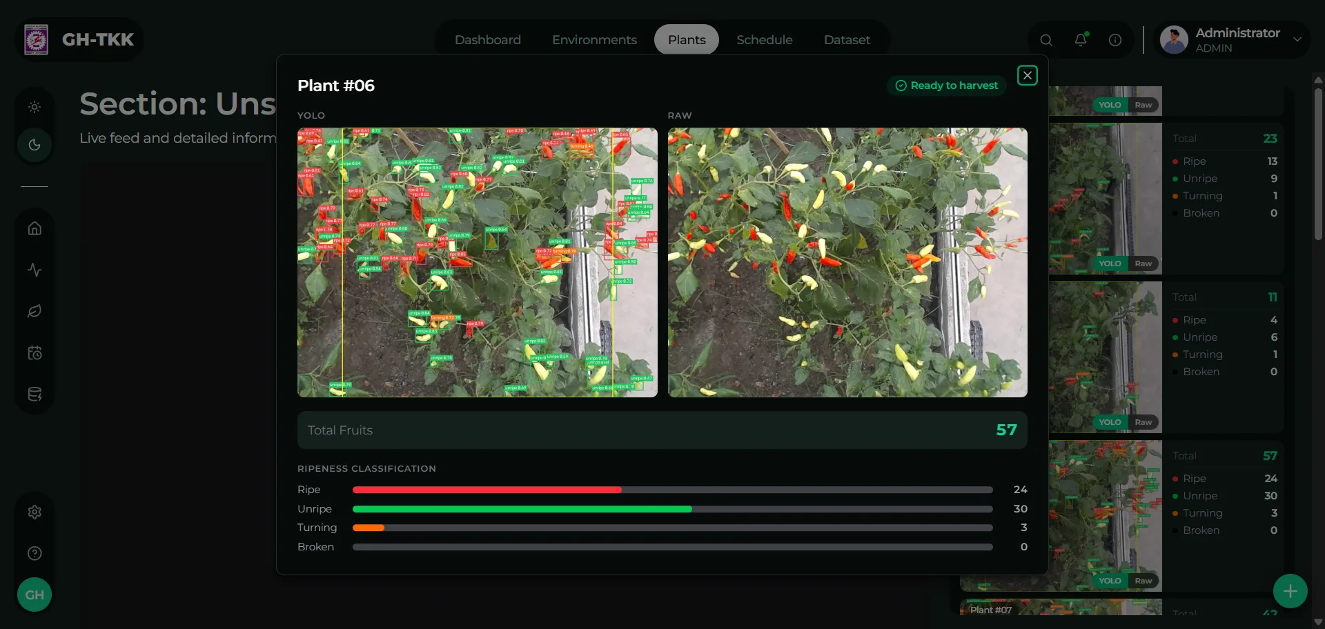 Raw photo and YOLOv11 detections compared side by side for one plant